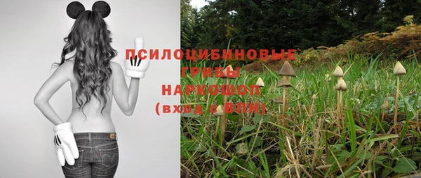 гидра Абдулино