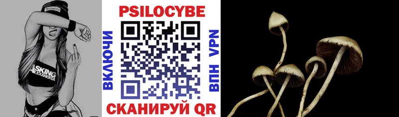 закладка  Мосальск  Галлюциногенные грибы Psilocybe 